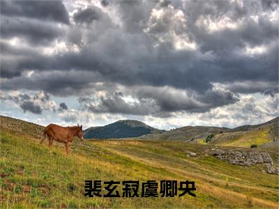 裴玄寂虞卿央全集小说完整版大结局_虞卿央裴玄寂完结版在线阅读