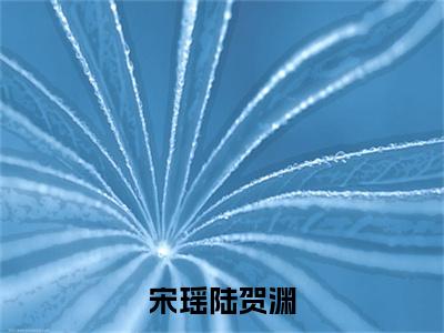 宋瑶陆贺渊全文最新章节（陆贺渊宋瑶）全文免费阅读无弹窗大结局_陆贺渊宋瑶免费阅读（宋瑶陆贺渊全文）