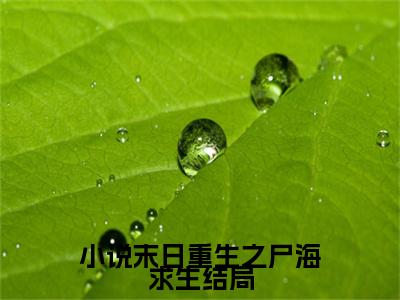  宋文林玲小说-《末日重生之尸海求生》完整章节阅读无弹窗免费阅读大结局