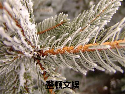 整顿文娱（沈哲）全文免费阅读无弹窗大结局_整顿文娱小说（沈哲）最新章节列表（整顿文娱）