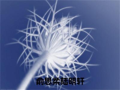 《俞思柔陆明轩》主角是陆明轩俞思柔全文免费阅读已完结