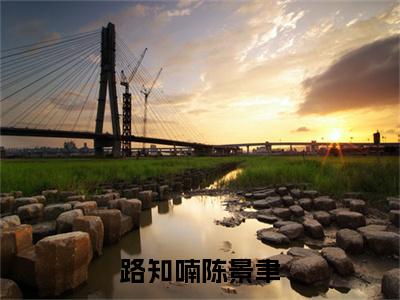 （路知喃陈景聿）陈景聿路知喃全文完整版-2023最新热门榜单小说路知喃陈景聿（陈景聿路知喃）