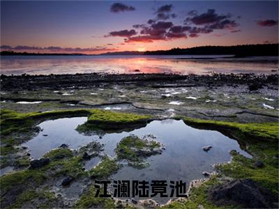 (江澜陆竟池)全集小说完整版大结局_江澜陆竟池全文免费无弹窗最新章节列表_笔趣阁(陆竟池江澜全文免费)