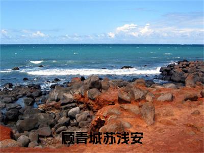 顾青城苏浅安全文免费阅读大结局_顾青城苏浅安（苏浅安顾青城）完整版在线赏析