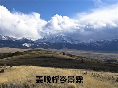 岑景霖姜晚柠小说叫什么名字（姜晚柠岑景霖）完整版大结局-岑景霖姜晚柠小说在线阅读