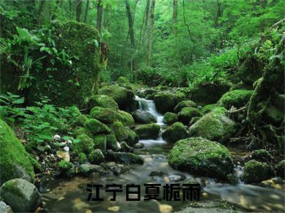 江宁白夏栀雨(夏栀雨江宁白)小说全文免费阅读无弹窗大结局_（夏栀雨江宁白）江宁白夏栀雨最新章节列表（夏栀雨江宁白）