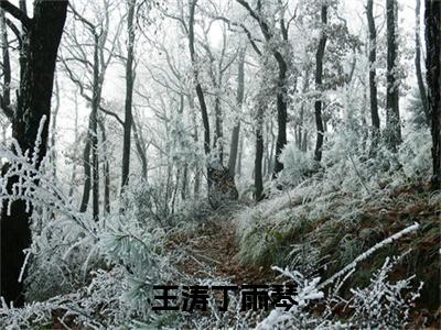  王涛丁雨琴小说（完整版杀丧尸升级，我能看到血条小说）全文免费阅读无弹窗大结局_( 王涛丁雨琴小说免费阅读)完整版杀丧尸升级，我能看到血条小说无弹窗最新章节列表_笔趣阁（ 王涛丁雨琴小说）