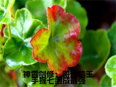 神霄剑修：哥这苟王手握七剑成最强( 林枫冷寒霜小说)最新在线阅读_ 林枫冷寒霜小说免费阅读