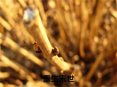 季清华石兰馨是哪部小说的主角，重生末世全文无弹窗完整版阅读