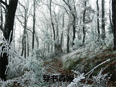 穿书寡嫂，把反派小叔养成乖宝（ 晏殊柳文娘）全文免费阅读_穿书寡嫂，把反派小叔养成乖宝（ 晏殊柳文娘）最新章节小说免费阅读（穿书寡嫂，把反派小叔养成乖宝）