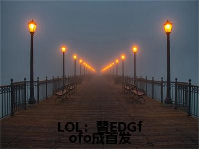 苏晨免费阅读无弹窗大结局-LOL：替EDGfofo成首发最新全章节全文阅读免费阅读-笔趣阁