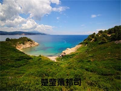 薄祁司楚莹（楚莹薄祁司）全文免费阅读无弹窗大结局_楚莹薄祁司免费最新章节列表_笔趣阁