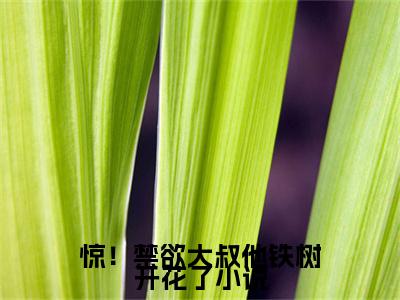 惊！禁欲大叔他铁树开花了（惊！禁欲大叔他铁树开花了）小说在线阅读_惊！禁欲大叔他铁树开花了全本免费小说阅读（ 白桁江怡）