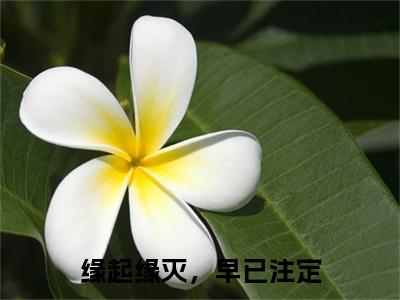 林月程笙（缘起缘灭，早已注定）全文免费阅读无弹窗大结局_(缘起缘灭，早已注定小说免费阅读)_笔趣阁