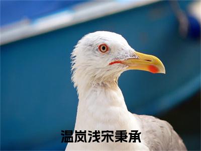 【热门】《温岚浅宋秉承》书名是宋秉承温岚浅全文免费阅读已完结