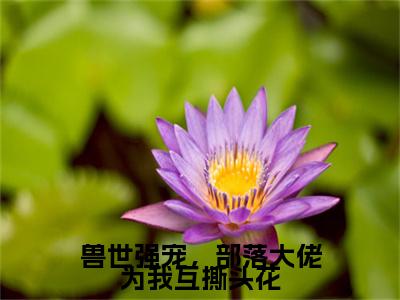  储云淡独家小说兽世强宠，部落大佬为我互撕头花- 储云淡无删版小说推荐