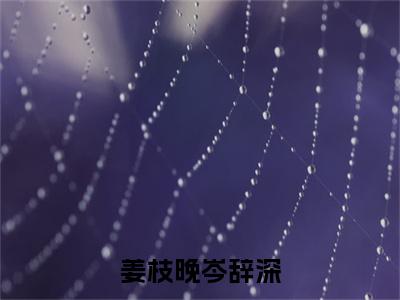 姜枝晚岑辞深全文免费阅读无弹窗大结局-岑辞深姜枝晚无弹窗阅读