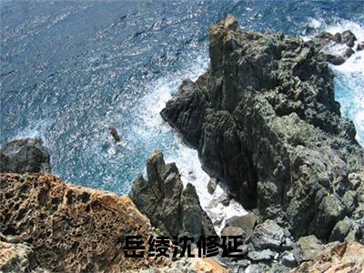 沈修延岳绫（岳绫沈修延全文小说）全文免费阅读无弹窗大结局_岳绫沈修延全文免费阅读最新章节列表_笔趣阁