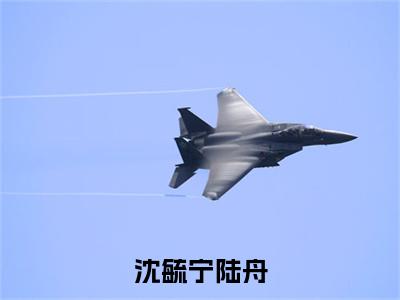 沈毓宁陆舟(陆舟沈毓宁）小说全文免费阅读无弹窗大结局_陆舟沈毓宁全文免费阅读