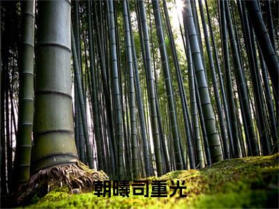 司重光朝曦（司重光朝曦）全文免费阅读_司重光朝曦（朝曦司重光）最新章节列表笔趣阁