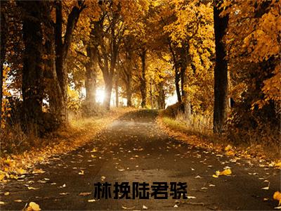 林挽陆君骁（陆君骁林挽）知乎小说无删减版免费阅读-陆君骁林挽精彩章节推荐阅读