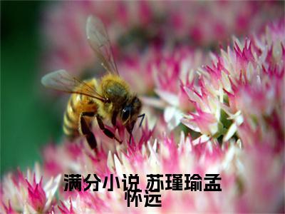 新婚后，我枝繁叶茂多子多福（ 苏瑾瑜孟怀远）免费阅读-小说（新婚后，我枝繁叶茂多子多福） 苏瑾瑜孟怀远全文阅读