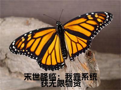 末世降临：我靠系统获无限物资（ 莫家小七莫家小七）全文完整版免费阅读-主角叫 莫家小七莫家小七的小说末世降临：我靠系统获无限物资