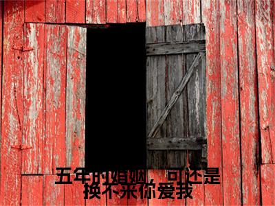 顾辞琛洛曦晴（顾辞琛洛曦晴）全文免费阅读无弹窗大结局_五年的婚姻，可还是换不来你爱我:顾辞琛洛曦晴最新章节列表_笔趣阁（顾辞琛洛曦晴）