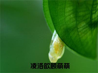  凌洛歆顾萌萌热门小说在哪免费看-小说参加综艺：小可怜成全网团宠（ 凌洛歆顾萌萌）完整版全文在线赏析