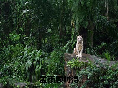 孟雨顾时浔（顾时浔孟雨）全文免费大结局小说-孟雨顾时浔全文最新章节阅读