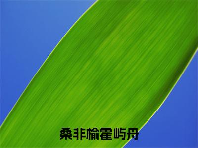 桑非榆霍屿舟（霍屿舟桑非榆）最新免费小说-霍屿舟桑非榆（桑非榆霍屿舟）全文全章节免费阅读