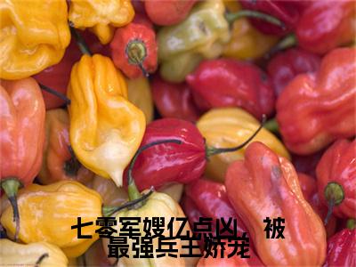 七零军嫂亿点凶，被最强兵王娇宠全文免费阅读无弹窗大结局_唐梦顾少焱无弹窗全文阅读