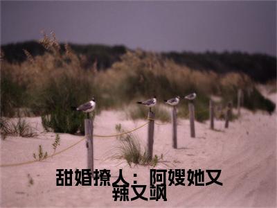 热文（甜婚撩人：阿嫂她又辣又飒）在线阅读-主角叫冯晓的小说（甜婚撩人：阿嫂她又辣又飒）完整版免费阅读全文最新章节列表_笔趣阁