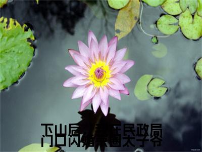 下山后，我在民政局门口闪婚京圈太子爷(陆北秦沈初棠)全文免费阅读无弹窗大结局_(下山后，我在民政局门口闪婚京圈太子爷)陆北秦沈初棠全文免费完结版阅读