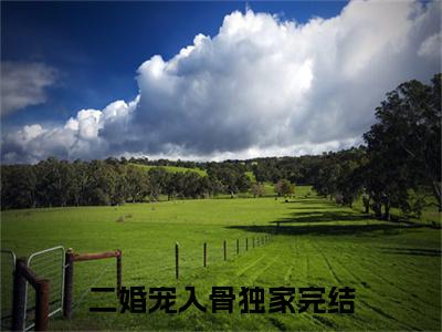  孙海洋妞妞（二婚宠入骨）全文免费阅读_二婚宠入骨最新章节小说免费阅读_笔趣阁 孙海洋妞妞