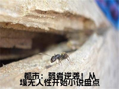  王焱铁逵（都市：弱者逆袭！从壕无人性开始）高质量小说推荐阅读-最新小说都市：弱者逆袭！从壕无人性开始全文阅读