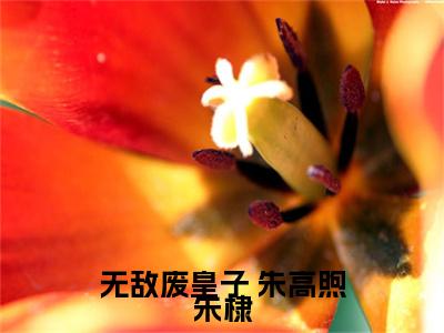 无敌废皇子（ 朱高煦朱棣）全文免费阅读无弹窗大结局_无敌废皇子全文免费阅读_笔趣阁