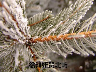 徐知妍贺北屿精彩小说（贺北屿徐知妍）在哪免费看-小说(贺北屿徐知妍)全文完整版免费阅读