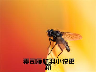  秦司雁林羽（爆料！机长已婚）全文免费阅读无弹窗大结局_（ 秦司雁林羽）爆料！机长已婚最新章节列表_笔趣阁（ 秦司雁林羽）