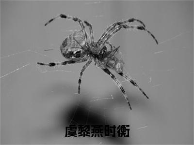 燕时衡虞黎小说全文免费阅读（虞黎燕时衡）全文免费虞黎燕时衡小说无弹窗大结局_虞黎燕时衡读最新章节列表_笔趣阁（燕时衡虞黎小说）