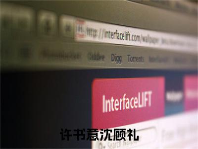 许书意沈顾礼（沈顾礼许书意）全文在线阅读无弹窗大结局_(许书意沈顾礼在线阅读)最新章节列表_笔趣阁（沈顾礼许书意）