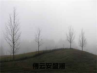 盛澜傅云安（傅云安盛澜）完整全文在线阅读_傅云安盛澜小说全章节目录阅读（盛澜傅云安）