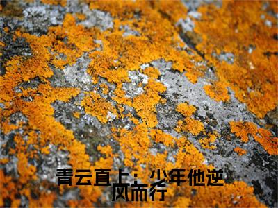  王衍陆阳晖在线阅读（青云直上：少年他逆风而行小说）全文免费阅读无弹窗大结局_青云直上：少年他逆风而行免费最新章节列表_笔趣阁（ 王衍陆阳晖小说）