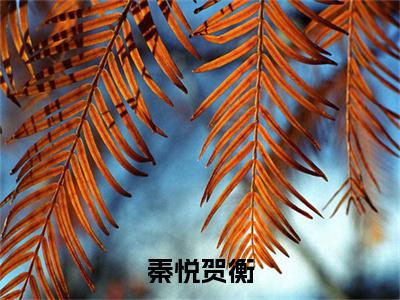 秦悦贺衡小说全文-秦悦贺衡（贺衡秦悦）最新章节免费阅读