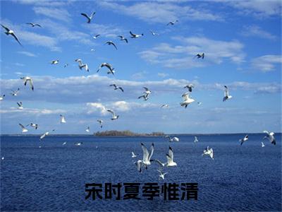 宋时夏季惟清(季惟清宋时夏)免费全文阅读小说_宋时夏季惟清免费在线阅读（季惟清宋时夏）小说最新章节列表-笔趣阁（季惟清宋时夏）