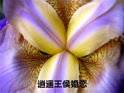 逍遥王侯全文免费阅读无弹窗大结局_( 李进何芊)免费阅读全文无弹窗_