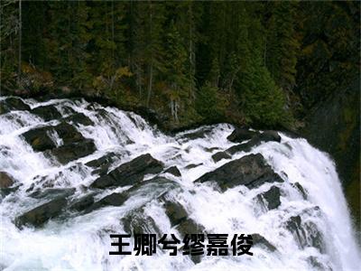 小说《缪嘉俊王卿兮》全文免费阅读无弹窗-王卿兮缪嘉俊小说全文在线赏析_笔趣阁