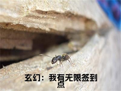 叶辰小说(玄幻：我有无限签到点)全文免费阅读_(玄幻：我有无限签到点)叶辰小说最新章节列表_笔趣阁(玄幻：我有无限签到点)