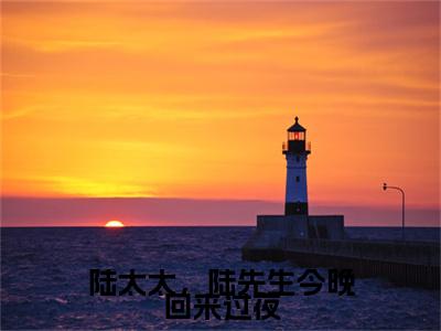 顾南烟陆北城（陆太太，陆先生今晚回来过夜）免费小说-（陆太太，陆先生今晚回来过夜）完结版在线阅读