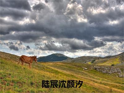 陆宸沈颜汐多人追的小说在哪里可以看 沈颜汐陆宸知乎连载小说免费阅读全章节